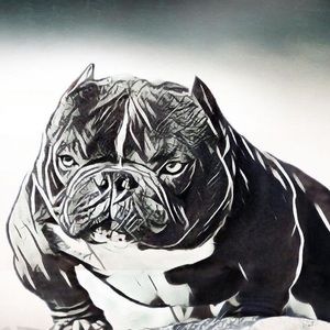 Meet your Posher, Jd